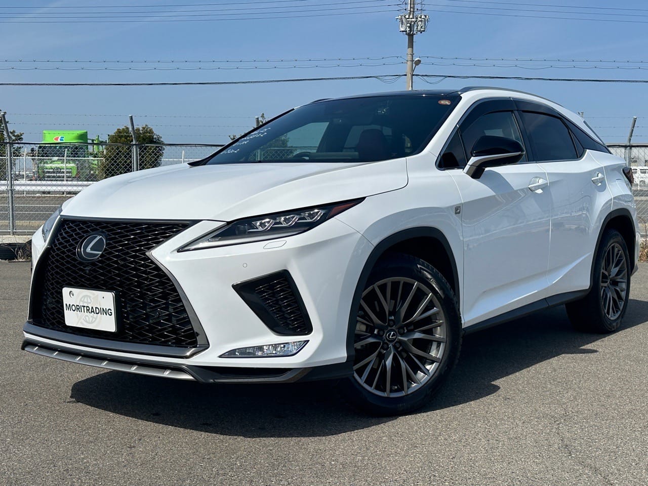 2019 Lexus RX 300